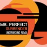 Surrender (Underground Remix)
