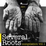 Several Roots Compilation, Vol. 1