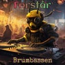Forstår