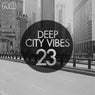 Deep City Vibes, Vol. 23