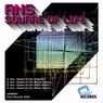 Ans - Square Of Life