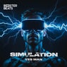 Simulation