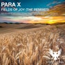 Fields Of Joy ( The Remixes)