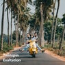 Exaltation (Radio Mix)