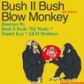 Blow Monkey 2011