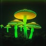 These Mushrooms are Groovin