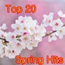 Top 20 Spring Hits