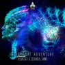 Cosmical Adventure