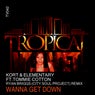 Wanna Get Down (Ryan Briggs (City Soul Project) Remix)