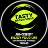 Enjoy Your Life (StoneBridge Remixes)