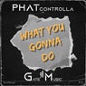 What You Gonna Do (Original Mix)