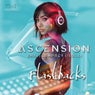 Flashbacks (Remixes)