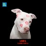 Umpa
