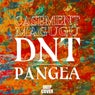 DNT / Pangea