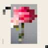 Forever / Paper Walls