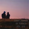 Spirit Sounds of Trance, Vol. 25 (Extended Mixes)