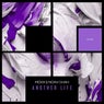 Another Life