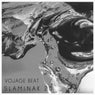 Slaminak 20