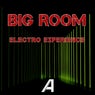Big Room Electro Experience