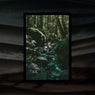 Forestscapes