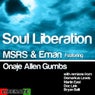 Soul Liberation