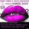 Deep Vibes & Tech Grooves Vol.2