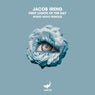 First Lights of the Day (Homo Novo Remixes)