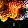Sorioneku - EP