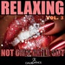 Relaxing Vol. 3 (not Only Chill Out)