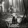 Lost