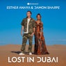 Lost In Dubai