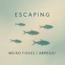Weird Fishes/Arpeggi