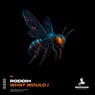 What Would I - Extended Mix