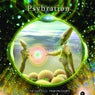 Psybration - Fundamental Progression (Vinyl)