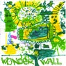 WonderWall (Remix)