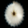 Data Bloom (Ep)