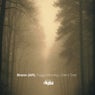 Foggy Morning | Silent Tree