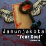 Your Soul - Remixes