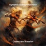 Cadenza of Passion