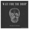Wait For The Drop