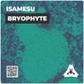Bryophyte