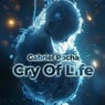 Cry Of Life (Original Mix)
