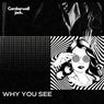 Why You See