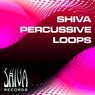 Shiva Percussive Loops Vol 5