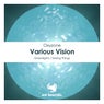 Various Vision