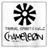 Tribal Spirits, Vol. 2