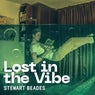 Lost in the Vibe