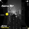 Analog Trip