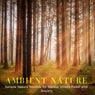 Ambient Nature - Serene Nature Sounds For Mental Stress Relief And Anxiety