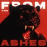FROM THE ASHES